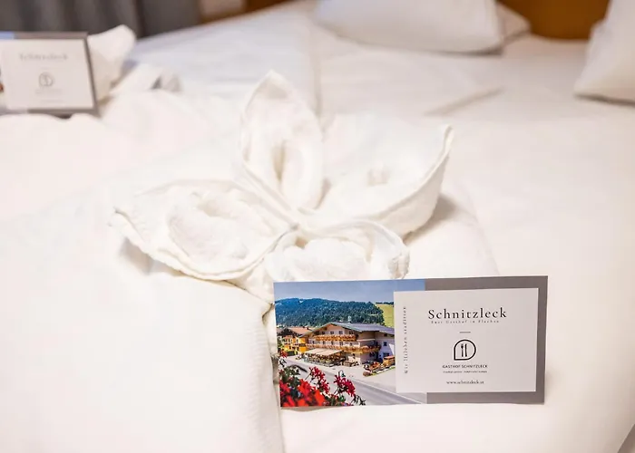 Schnitzl-eck Konukevi